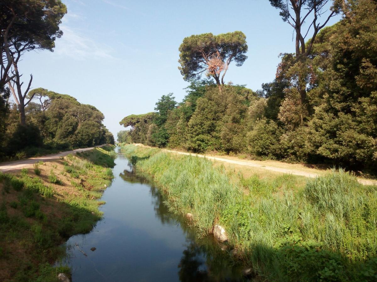 Campeggio Boscoverde Torre del Lago Puccini Exteriér fotografie